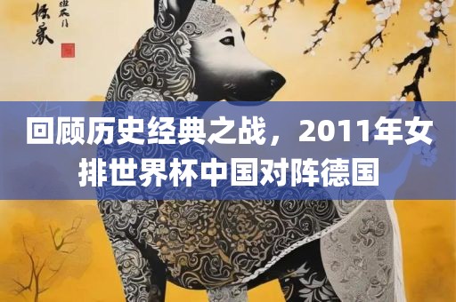 回顾历史经典之战，2011年女排世界杯中国对阵德国