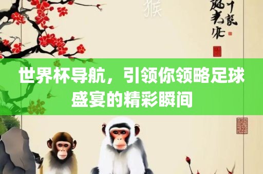 世界杯导航，引领你领略足球盛宴的精彩瞬间