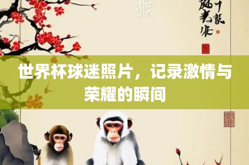 世界杯球迷照片，记录激情与荣耀的瞬间