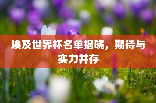 埃及世界杯名单揭晓，期待与实力并存