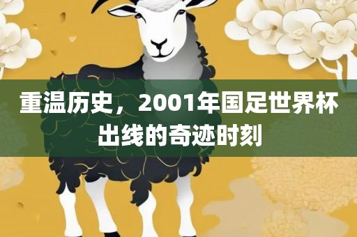 重温历史，2001年国足世界杯出线的奇迹时刻