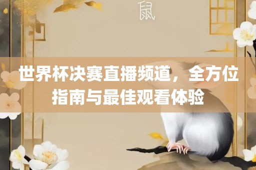 世界杯决赛直播频道，全方位指南与最佳观看体验江门市永晋源无纺布有限公司
