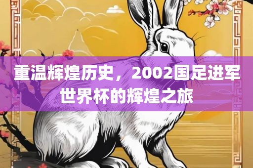 重温辉煌历史，2002国江门市永晋源无纺布有限公司足进军世界杯的辉煌之旅