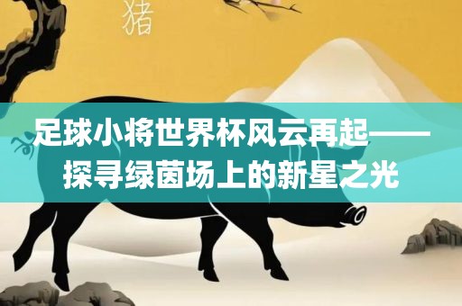 足球小将世界杯风云再起——探寻绿茵场上的新星之光江门市永晋源无纺布有限公司