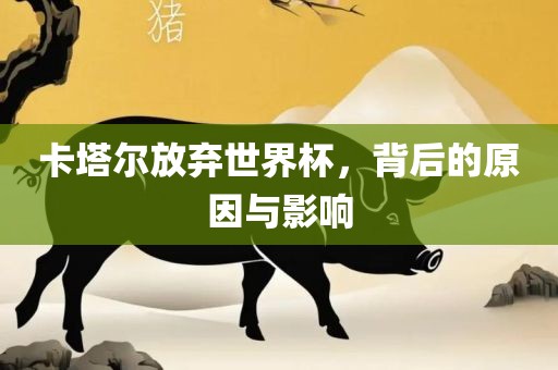 卡塔尔放弃世界杯，背后的原因与影响江门市永晋源无纺布有限公司