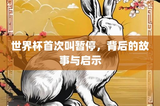 世界杯首次叫暂停，背后的故事与启示