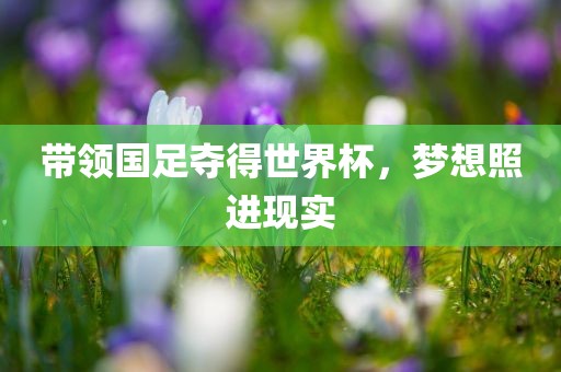 带领国足夺得世界杯，梦想照进现实江门市永晋源无纺布有限公司