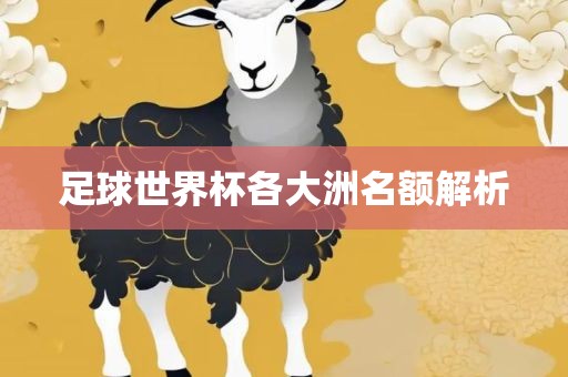 足球世界杯各大洲名额解析