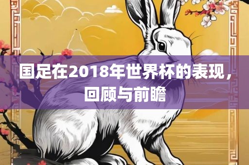 国足在2018年世界杯的表现，回顾与前瞻
