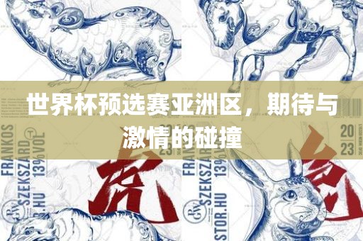 世界杯预选赛亚洲区，期待与激情的碰撞