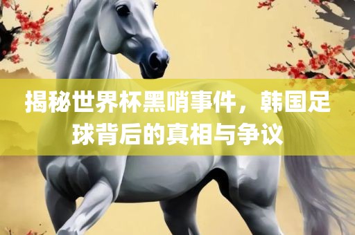 揭秘世界杯黑哨事件，韩国足球背后的真相与争议