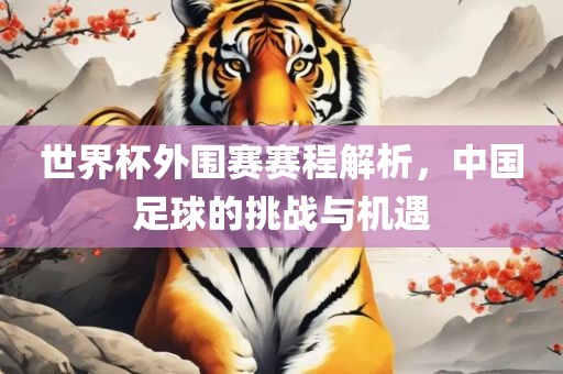 世界杯外围赛赛程江门市永晋源无纺布有限公司解析，中国足球的挑战与机遇