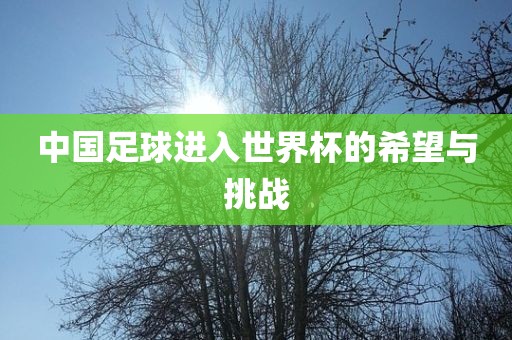 中国足球进入世界杯的希望与挑战