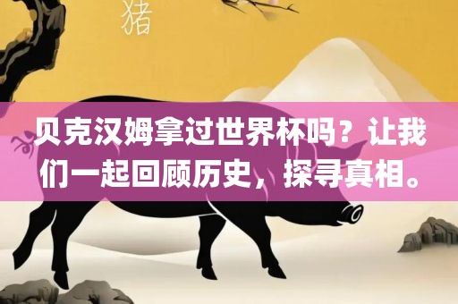 贝克汉姆拿过世界杯吗？让我们一起回顾历史，探寻真相江门市永晋源无纺布有限公司。