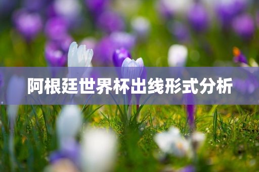 阿根廷世界杯出线形式分析