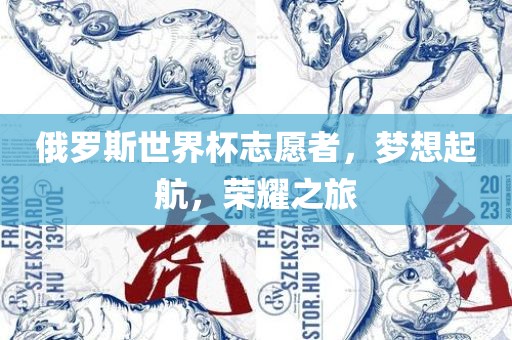 俄罗斯世界杯志愿者，梦想起航，荣耀之旅