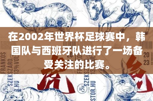 在2002年世界杯足球赛中，韩国队与西班牙队进行了一场备受关注的比赛。