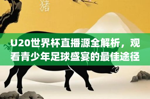 U20世界杯直播源全解析，观看青少年足球盛宴的最佳途径江门市永晋源无纺布有限公司