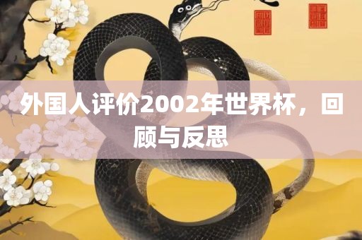 外国人评价2002年世界杯，回顾与反思