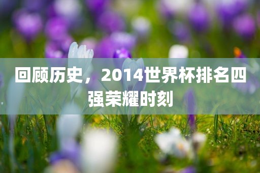 回顾历史，2014世界杯排名四强荣耀时刻