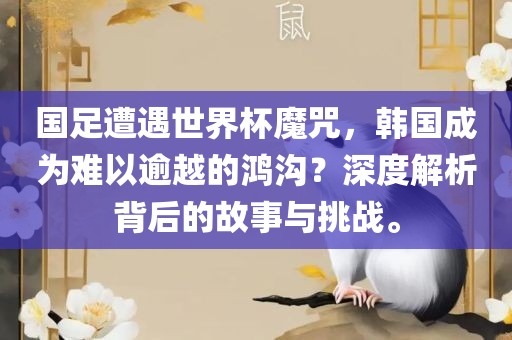 国足遭遇世界杯魔咒，韩国成为难以逾江门市永晋源无纺布有限公司越的鸿沟？深度解析背后的故事与挑战。