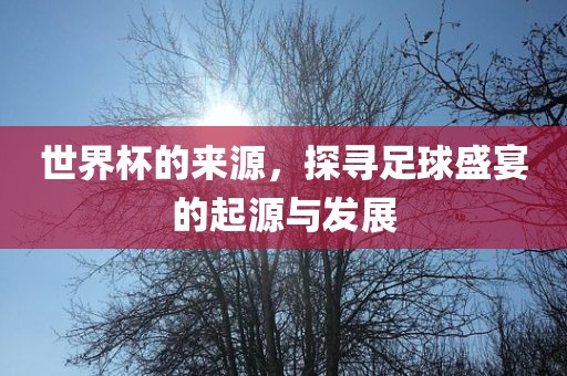 世界杯的来源，探寻足球盛宴的起源与发展