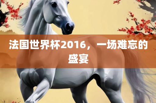 法国世界杯2016，一场难忘的盛宴江门市永晋源无纺布有限公司