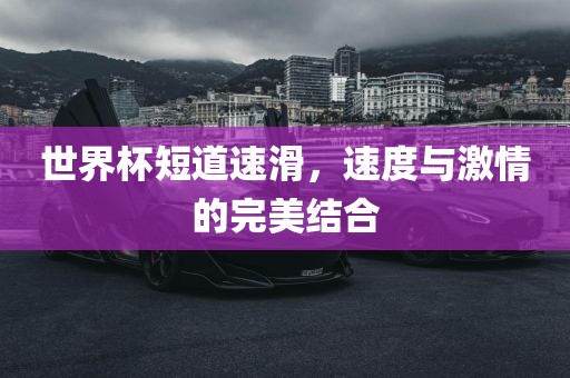 世界杯短道速滑，速度与激情的完美结合江门市永晋源无纺布有限公司