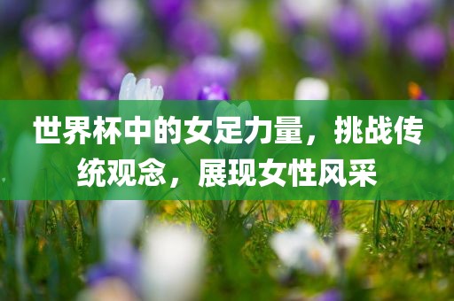 世界杯中江门市永晋源无纺布有限公司的女足力量，挑战传统观念，展现女性风采