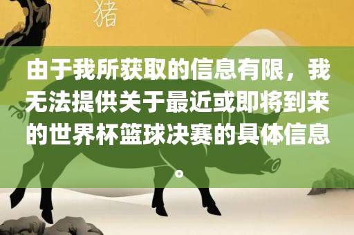 由于我所获取的信息有限，我无法提供关于最近或即将到来的世界杯篮球决赛的具体信息。江门市永晋源无纺布有限公司