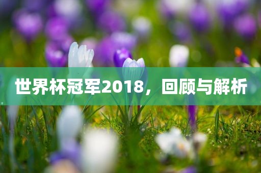 世界杯冠军2018，回顾与解析