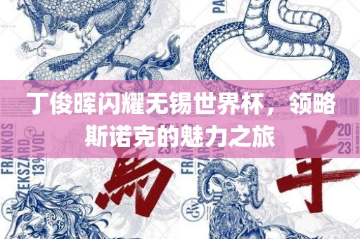 丁俊晖闪耀无锡世界杯，领略斯诺克的魅力之旅江门市永晋源无纺布有限公司