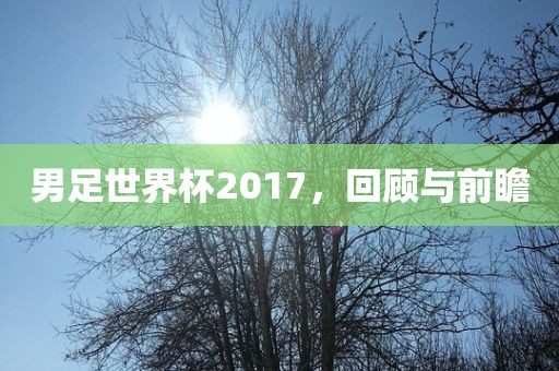 男足世界杯2017，回顾与前瞻