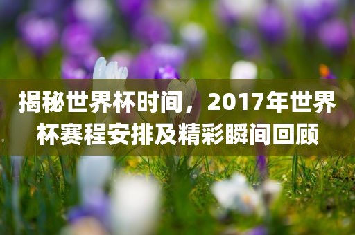 揭秘世界杯时间，2017年世界杯赛程安排及精彩瞬间回顾