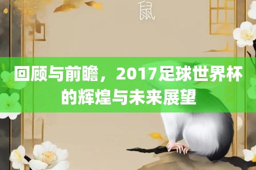 回顾与前瞻，2017足球世界杯的辉煌与未来展望