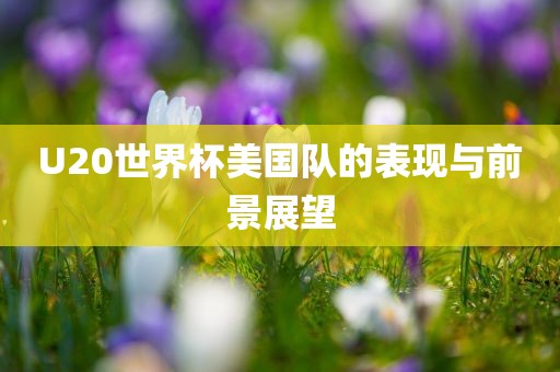 U20世界杯美国队的表现与前景展望