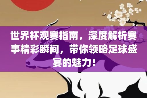 世界杯观赛指南，深度解析赛事精彩瞬间，带你领略足球盛宴的魅力！