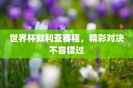 世界杯叙利亚赛程，精彩对决不容错过江门市永晋源无纺布有限公司
