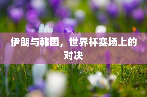 伊朗与韩国，世界杯赛场上的对决