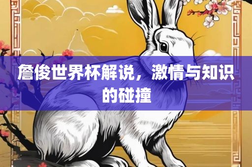 詹俊世界杯解说，激情与知识的碰撞江门市永晋源无纺布有限公司
