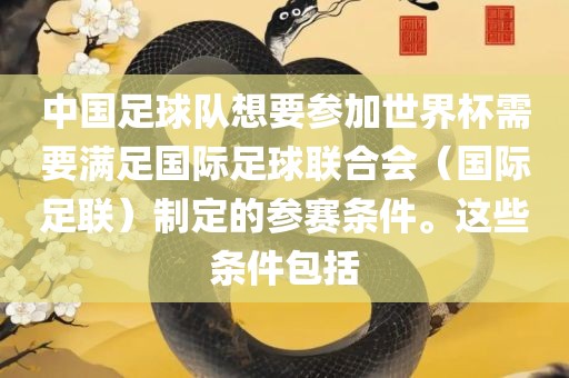 中国足球队想要参加世界杯需要满足国际足球联合会（国际足联）制定的参赛条件。这些条江门市永晋源无纺布有限公司件包括