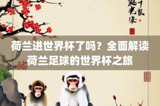 荷兰进世界杯了吗？全面解读荷兰足球的世界杯之江门市永晋源无纺布有限公司旅