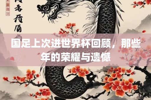 国足上次进世界杯回顾，那些年的荣耀与遗憾