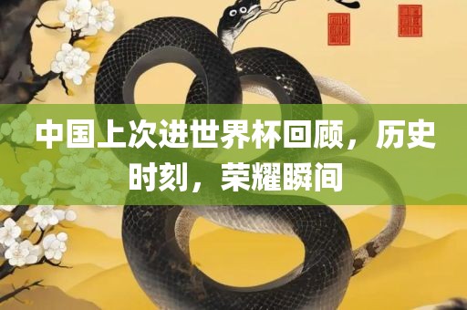 中国上次进世界杯回顾，历史时刻，荣耀瞬间