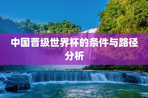 中国晋级世界杯的条件与江门市永晋源无纺布有限公司路径分析