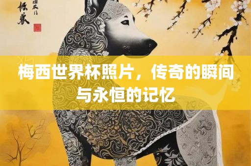 梅西世界杯照片，传奇的瞬间与永恒的记忆