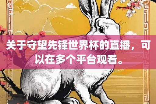 关于守望先锋世界杯的直播，可以在多个平台观看。