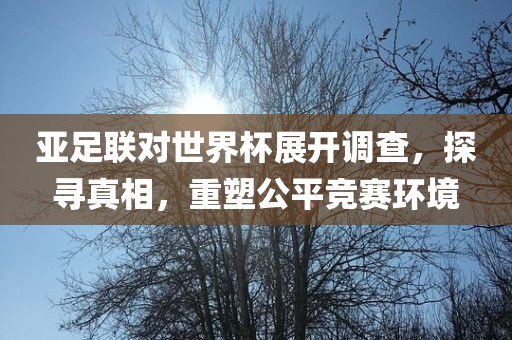 亚足联对世界杯展开调查，探寻真相，重塑江门市永晋源无纺布有限公司公平竞赛环境