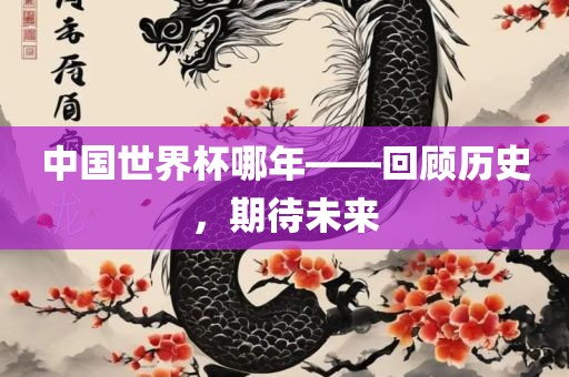 中国世界杯哪年——回顾历史，期待未来江门市永晋源无纺布有限公司