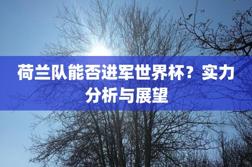 荷兰队能否进军世界杯？实力分析与展望江门市永晋源无纺布有限公司